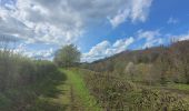Trail Walking Rochefort - rando belvaux 28-04-2023 - Photo 13