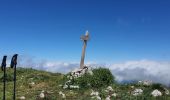 Trail Walking Ferrère - montagne d'Areng depuis la piste forestière après Férrères - Photo 8