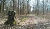 Trail Walking Sentheim - Haut Soultzbach - Photo 7