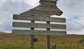 Tocht Stappen Anglards-de-Salers - Chemin des estives - Photo 6