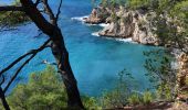 Tocht Stappen Saint-Cyr-sur-Mer - Port de la Madrague - Pointes Fauconnière, des 3 Fours, du Défends, des Termes et des Engraviers - Bandol - Photo 10