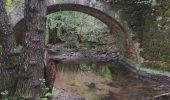 Randonnée Marche Bagnols-en-Forêt - bagnol dn foret  foret royale - Photo 1