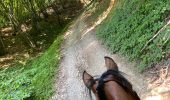 Trail Horseback riding Beaufort - Chez nous à chez Bertrand  - Photo 2