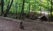 Randonnée Marche Sprimont - dans les bois au nord de Banneux - Photo 4