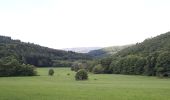 Tour Zu Fuß Bad Endbach - Wanderweg E4 / Seibertshäuser Grund - Photo 1