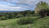 Tour Zu Fuß Wyre Forest - Habberley Valley Circular Walk - Photo 1