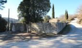 Trail On foot Civitella in Val di Chiana - IT-111 - Photo 8