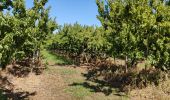 Tour Wandern Nîmes - Régordane 9 - Nîmes-St Gilles - Photo 12