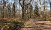 Excursión Senderismo Montigny-le-Tilleul - Marche Adeps à Montigny-le-Tilleul - Photo 5