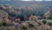 Trail Walking Hautes-Duyes - AURIBEAU,  Champ de Barras . col d Ainac o l s - Photo 3