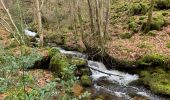 Tocht Stappen Brassac - L’escalier de la Peyre par les Costes - Photo 9