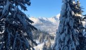 Percorso Racchette da neve Saint-Jean-de-Sixt - Le panorama du Danay (14) - Photo 12