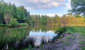 Percorso Marcia Brinon-sur-Sauldre - Balade dans le domaine des bulles de Sologne - Photo 3