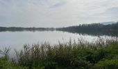 Tocht Stappen Banyoles - Lac de Banyoles  - Photo 5