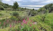 Trail Walking Bages - Da Bages à Peyrac de Mer et retour - Photo 11