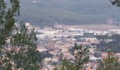 Tocht Stappen La Penne-sur-Huveaune - boucle de la penne  - Photo 1