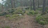 Trail Walking Fontainebleau - carrefour Acheté 3 février 2023 - Photo 7