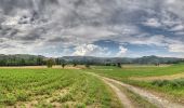 Excursión A pie Castellarano - Croce di San Valentino - Montebabbio - Telarolo - Monte Maestà Bianca - Photo 9