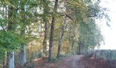 Trail Walking Theux - becco . bois renard . forestia le goulag des animaux . jevoumont . heid de fer . becco  - Photo 16