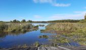 Tour Wandern Giffaumont-Champaubert - Étang d'Outines - Photo 1