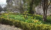 Percorso Marcia Monte - De Monte au Jardin Botanico (Rother n°3) - Photo 8
