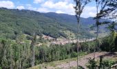 Randonnée Marche Steige - Steige - Au Blanc Noyer - Photo 4