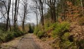 Tour Wandern Stablo - Stavelot - 13 ou 18 km - Photo 8