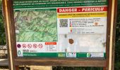Tour Wandern Quenza - Col de Bavella-Conca Étape GR - Photo 1