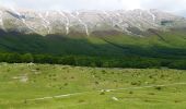 Tocht Te voet Pacentro - Anello di Passo San Leonardo - Photo 8