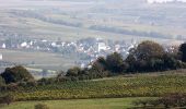 Trail On foot Gau-Algesheim - Hiwweltour Bismarckturm - Photo 10