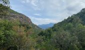 Tour Wandern Manso - Corse 2023: Tuvarelli - Sierrera - Photo 8