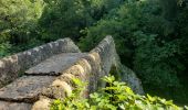 Randonnée Marche Montauroux - Les gorges de la Siagne et les chênes pluricentenaires - Photo 6