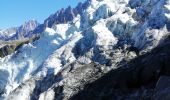 Tour Wandern Chamonix-Mont-Blanc - Glaciers des Bossons  - Photo 2