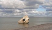 Percorso Marcia Cayeux-sur-Mer - lac de caouaisse . brighton . pointe de hourdel . lac de caouzisse   - Photo 5