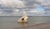 Randonnée Marche Cayeux-sur-Mer - lac de caouaisse . brighton . pointe de hourdel . lac de caouzisse   - Photo 5