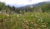 Trail On foot Combloux - Balade panoramique du Haut-Combloux - Photo 5