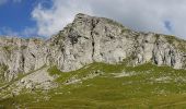 Tocht Te voet Onbekend - Moieciu de Sus - Șaua Strunga - Cabana Padina - Photo 7