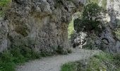 Trail Walking Estoublon - TREVANS,  Chateau de Trevans,  les Beluguettes. Cotes Chaudes , Belvédère des  Gorges  , Turquet ,o quet  - Photo 2