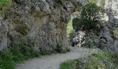 Percorso Marcia Estoublon - TREVANS,  Chateau de Trevans,  les Beluguettes. Cotes Chaudes , Belvédère des  Gorges  , Turquet ,o quet  - Photo 2