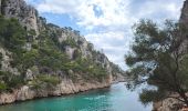 Trail Walking Cassis - Calanques de Port Miou, Port Pin et d'En Vau - Photo 10
