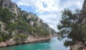 Randonnée Marche Cassis - Calanques de Port Miou, Port Pin et d'En Vau - Photo 10