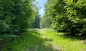 Trail Walking Noroy-sur-Ourcq - en Forêt de Retz_93_05_2022_le Bois de Cresnes - Photo 3