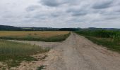 Tour Wandern Ciney - Braibant 060722 - Photo 10