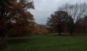 Trail Walking Liège - autour de l institut botanique  - Photo 1