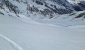 Trail Touring skiing Molines-en-Queyras - pic des Fonzes ou Foreant - Photo 8