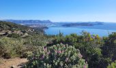 Tour Wandern La Seyne-sur-Mer - Cap Sicié et Notre Dame du mai - Photo 14