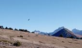 Trail Walking Châtillon-en-Diois - le sommet serre du beau puy - Photo 15