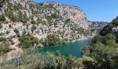 Tocht Stappen Montmeyan - Basses gorges du Verdon Quinson - Photo 3