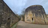 Tour Wandern Longeville-lès-Metz - Metz - Les fortifications & 🎅🎄  - Photo 12