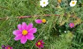 Tour Wandern Gembloux - Promenade du bois de Grand-Leez et son étang  - Photo 15